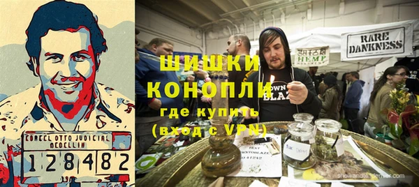 стаф Бронницы