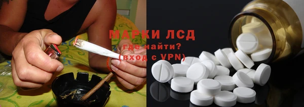 стаф Бородино