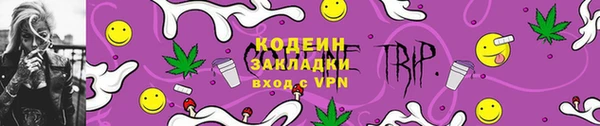 стаф Бородино