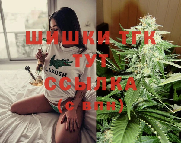 стаф Бронницы