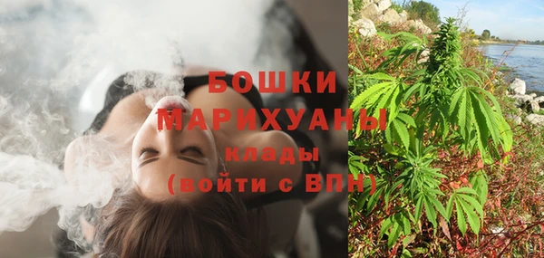 стаф Бородино