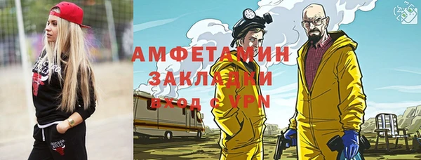 стаф Бородино