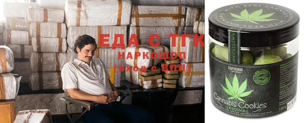 стаф Бородино