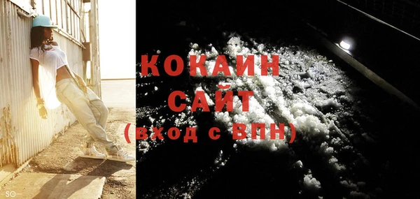 стаф Бородино